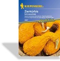Kürbis, Zierkürbis Schwanenhals, Kiepenkerl