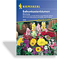 Balkonkasten-Blumen, Kiepenkerl