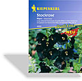 Stockrose Nigra, Kiepenkerl