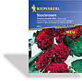 Stockrose Chaters Double Red, Kiepenkerl