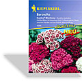 Bartnelke Duplika Mischung, Kiepenkerl
