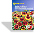 Kokardenblume Arizona Sun, Kiepenkerl