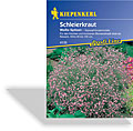 Schleierkraut Weiße Spitzen, Kiepenkerl