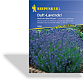 Lavendel Hidcote Blue Strain, Kiepenkerl