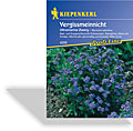 Vergissmeinicht Ultramarine Zwerg, Kiepenkerl