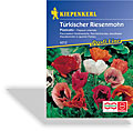 Mohn, Türkischer Riesenmohn Pizzicato, Kiepenkerl