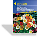 Mohn, Islandmohn Partyfun, Kiepenkerl