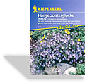 Hängepolsterglocke, Kiepenkerl