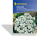 Edelweiß, Kiepenkerl