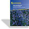 Glockenblume, Kiepenkerl