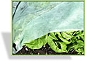 Wachstums-Vlies SuperGrow, Windhager