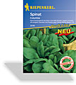 Spinat, Sommerpinat Columbia, Resistent, Kiepenkerl