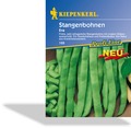 Bohne, Stangenbohne Eva, Kiepenkerl