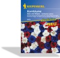 Kornblume Stars and Stripes, Kiepenkerl