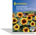 Sonnenblume Merida Bicolor, Kiepenkerl