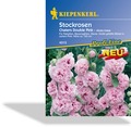 Stockrose Chaters Double Pink, Kiepenkerl