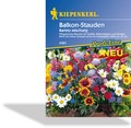 Balkon-Stauden Baristo Mischung, Kiepenkerl
