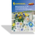 Blütenträume in Eis, Kiepenkerl