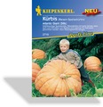 Kürbis, Riesenkürbis Atlantic Giant, Kiepenkerl