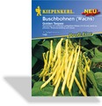 Bohne, Buschbohne Golden Teepee, Kiepenkerl