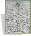 Gartenstecker Zierstäbe