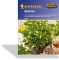 Baldrian, Kiepenkerl