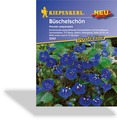 Büschelschön, Kiepenkerl