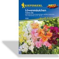 Löwenmäulchen Twinny Mix, Kiepenkerl