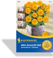 Mini-Anzuchtsets Blumen, Kiepenkerl