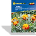 Studentenblume Mowgli Bicolor, Kiepenkerl