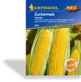 Mais, Zuckermais Tatonka F1, Kiepenkerl