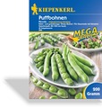 Bohne, Puffbohne Piccola, Kiepenkerl