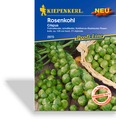 Rosenkohl Crispus F1, Kiepenkerl