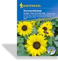 Sonnenblume Suntastic, Kiepenkerl