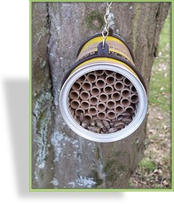 Bienen-Dose für Balkon
