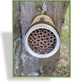 Bienen-Dose für Balkon