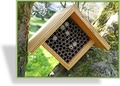 Bienenhotel
