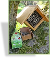 Bienen-Zuchtset Garten