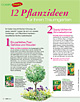 12 Pflanzideen für Ihren Traumgarten