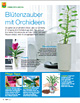 Zimmerpflanzen- Exotische Freundinnen