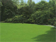Dicotex Rasen Unkraut-Frei Super